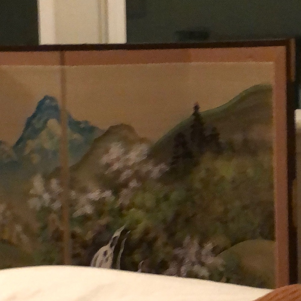 Meet your Posher, Jenny